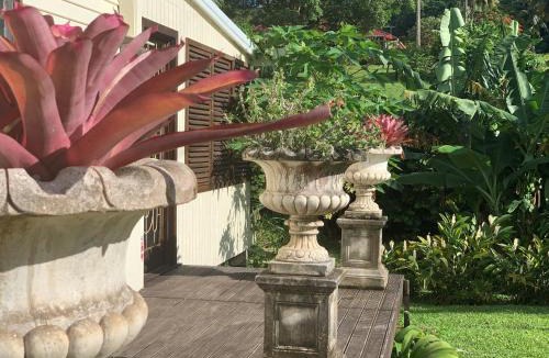 Rarotonga House | Bella Casa